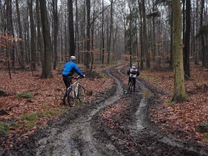 Waldtour 009